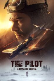 O Piloto – Uma Batalha Pela Sobrevivência