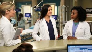 A Anatomia de Grey: 13×13